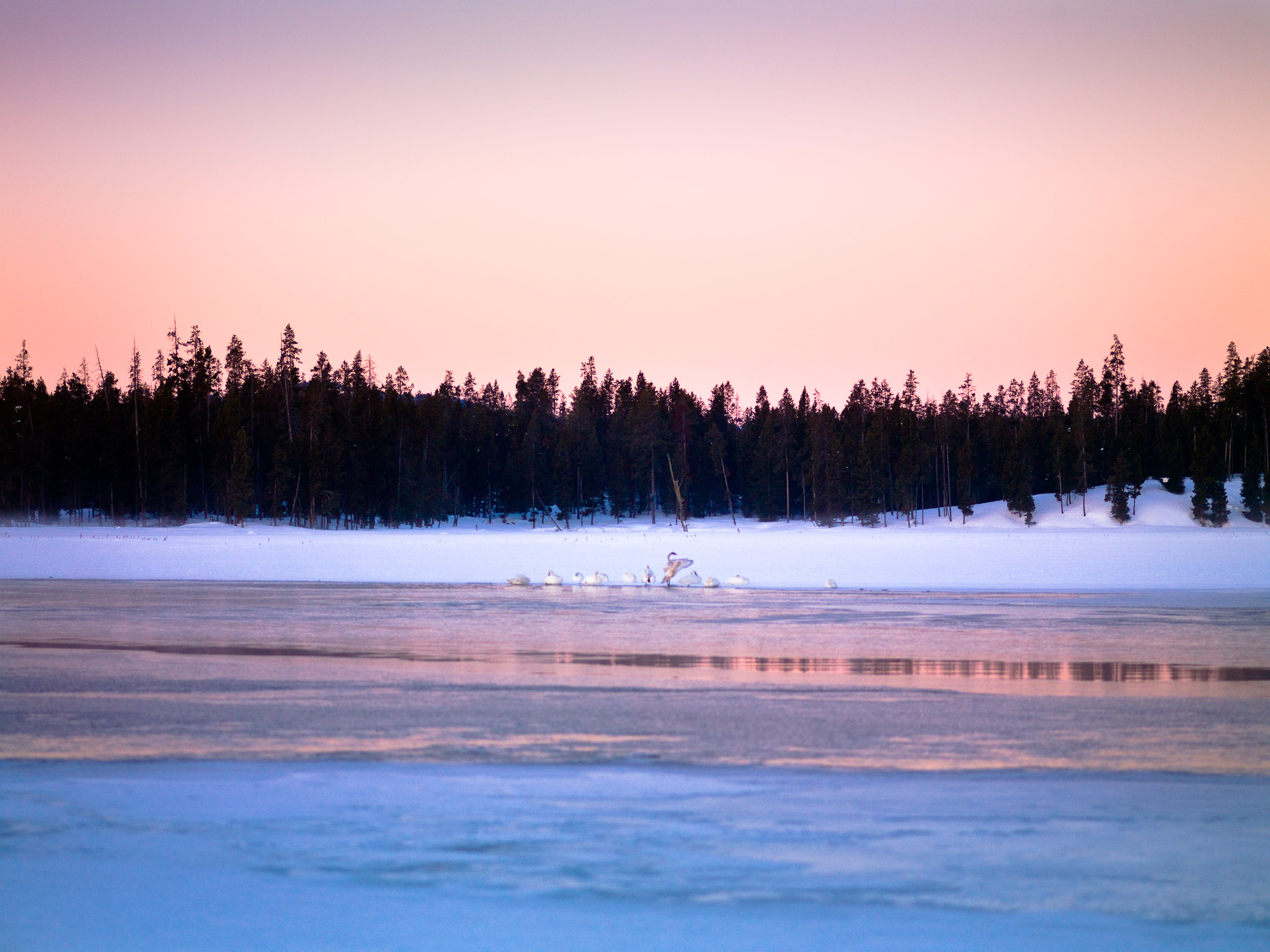 20090403_IslandPk_0012-Edit.jpg